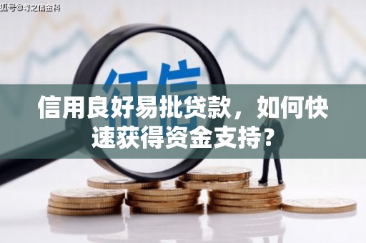 礼县信用良好易批贷款，如何快速获得资金支持？