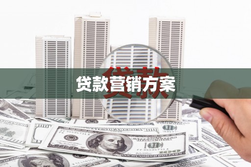 礼县贷款营销方案