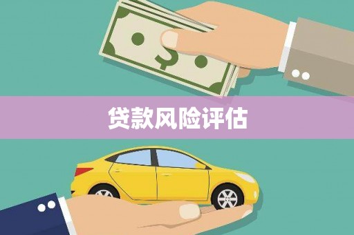 礼县贷款风险评估