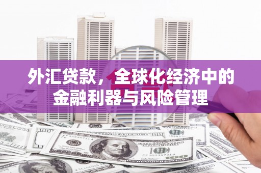 礼县外汇贷款，全球化经济中的金融利器与风险管理
