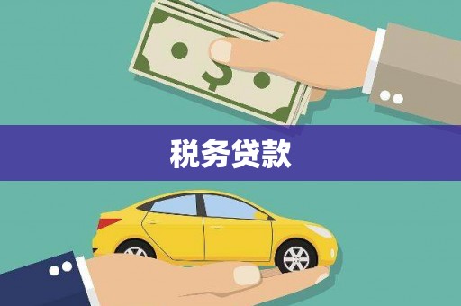 礼县税务贷款
