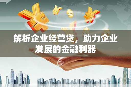 礼县解析企业经营贷，助力企业发展的金融利器