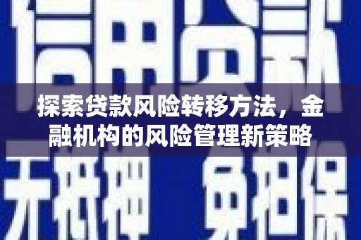 礼县探索贷款风险转移方法，金融机构的风险管理新策略