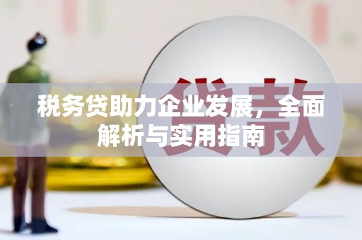 礼县税务贷助力企业发展，全面解析与实用指南
