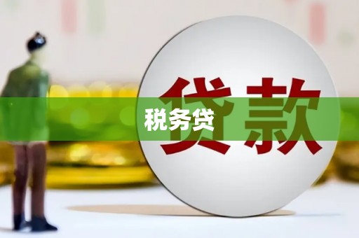 礼县税务贷