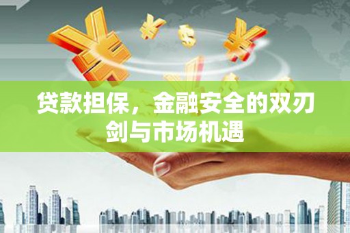 礼县贷款担保，金融安全的双刃剑与市场机遇