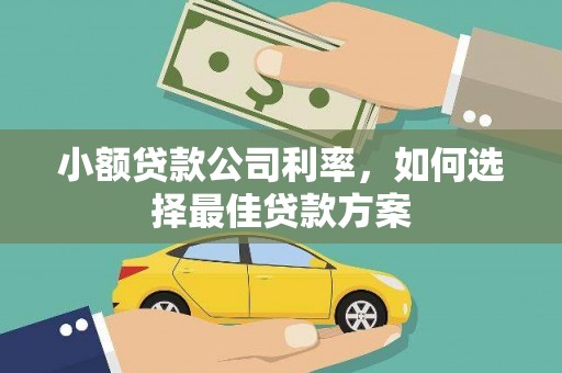 礼县小额贷款公司利率，如何选择最佳贷款方案