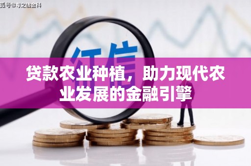 礼县贷款农业种植，助力现代农业发展的金融引擎