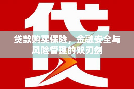 礼县贷款购买保险，金融安全与风险管理的双刃剑