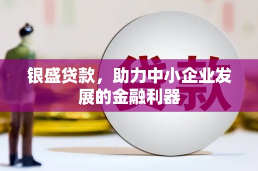 礼县银盛贷款，助力中小企业发展的金融利器