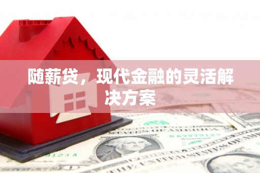 礼县随薪贷，现代金融的灵活解决方案