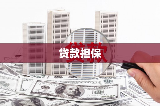 礼县贷款担保