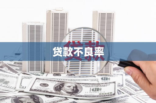 礼县贷款不良率