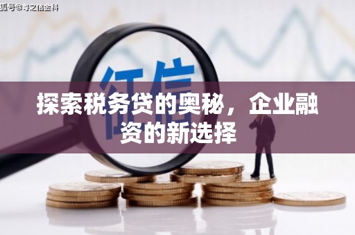 礼县探索税务贷的奥秘，企业融资的新选择