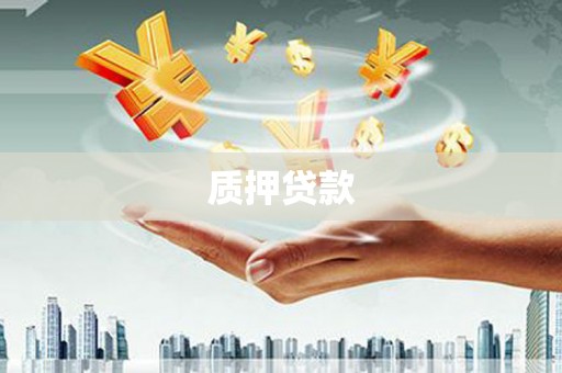 礼县质押贷款