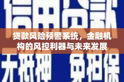 礼县贷款风险预警系统，金融机构的风控利器与未来发展