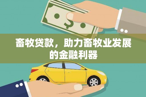 礼县畜牧贷款，助力畜牧业发展的金融利器
