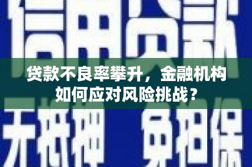 礼县贷款不良率攀升，金融机构如何应对风险挑战？