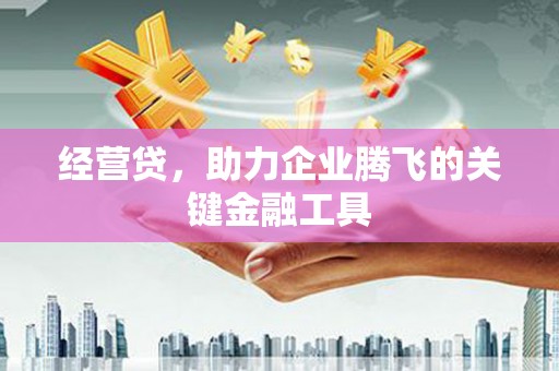 礼县经营贷，助力企业腾飞的关键金融工具