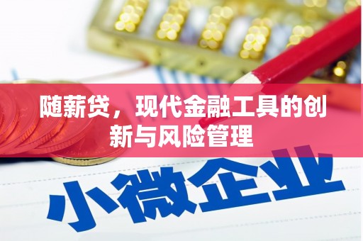 礼县随薪贷，现代金融工具的创新与风险管理
