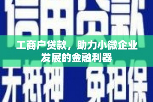 礼县工商户贷款，助力小微企业发展的金融利器