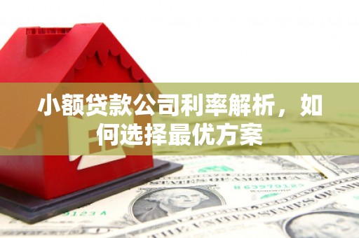 礼县小额贷款公司利率解析，如何选择最优方案