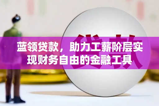 礼县蓝领贷款，助力工薪阶层实现财务自由的金融工具