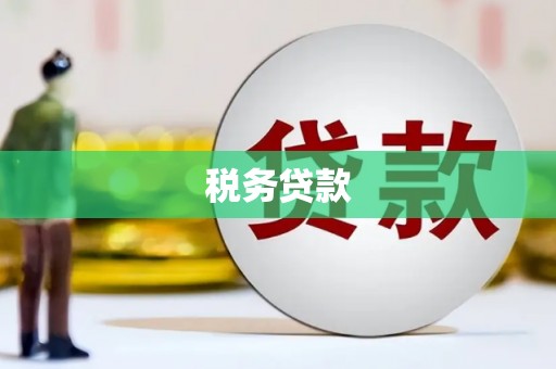礼县税务贷款