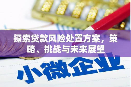 礼县探索贷款风险处置方案，策略、挑战与未来展望