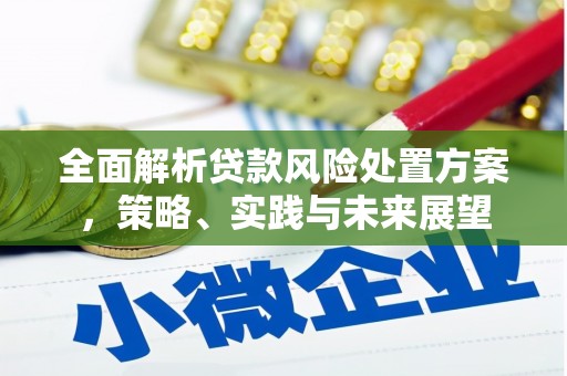 礼县全面解析贷款风险处置方案，策略、实践与未来展望