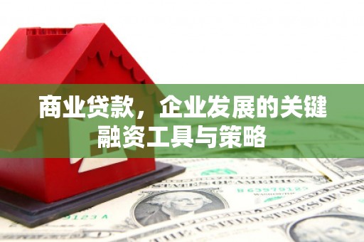 礼县商业贷款，企业发展的关键融资工具与策略