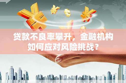 礼县贷款不良率攀升，金融机构如何应对风险挑战？