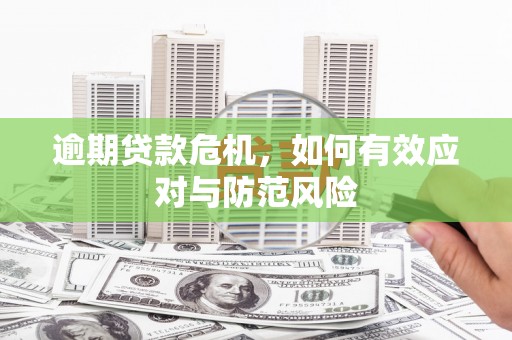 礼县逾期贷款危机，如何有效应对与防范风险
