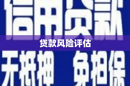 礼县贷款风险评估