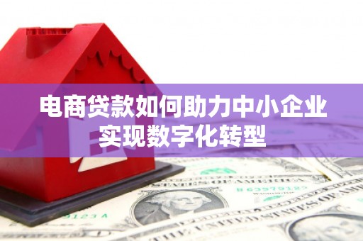 礼县电商贷款如何助力中小企业实现数字化转型