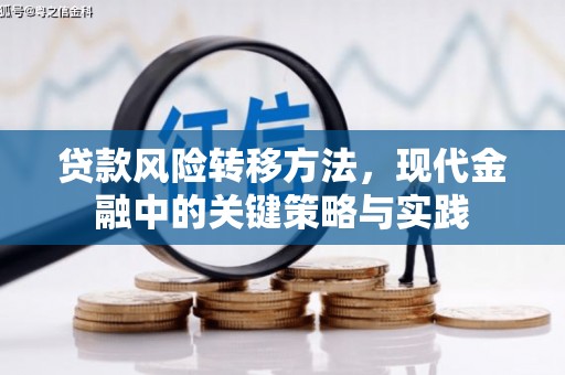 礼县贷款风险转移方法，现代金融中的关键策略与实践
