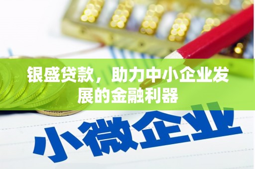 礼县银盛贷款，助力中小企业发展的金融利器