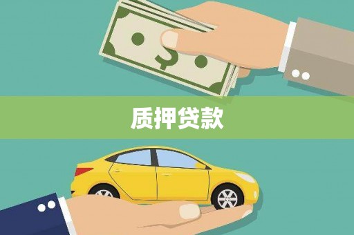 礼县质押贷款
