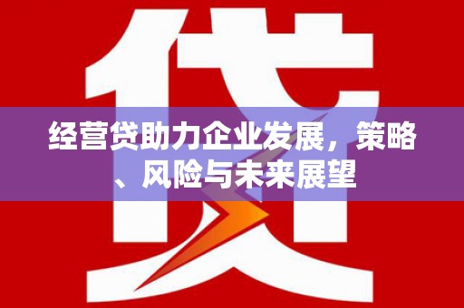 礼县经营贷助力企业发展，策略、风险与未来展望