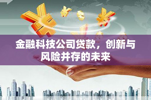 礼县金融科技公司贷款，创新与风险并存的未来