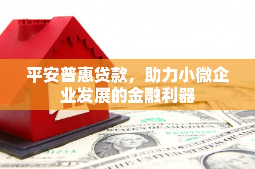 礼县平安普惠贷款，助力小微企业发展的金融利器
