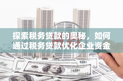 礼县探索税务贷款的奥秘，如何通过税务贷款优化企业资金流