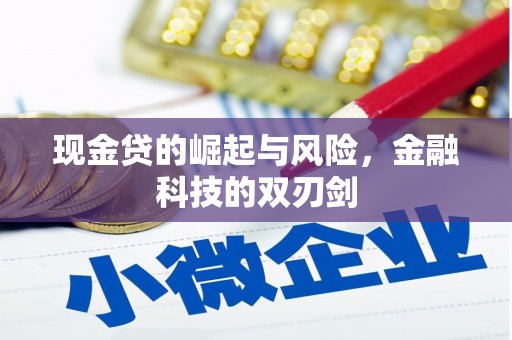 礼县现金贷的崛起与风险，金融科技的双刃剑