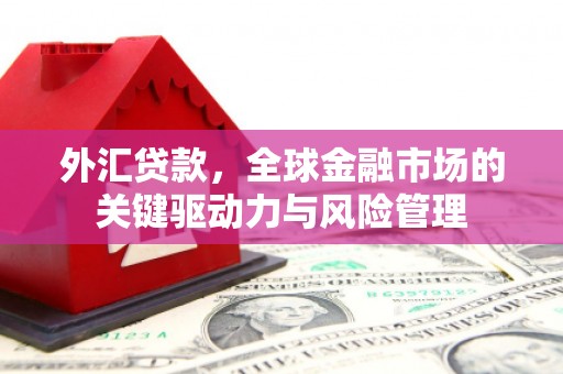 礼县外汇贷款，全球金融市场的关键驱动力与风险管理