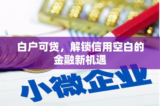 礼县白户可贷，解锁信用空白的金融新机遇