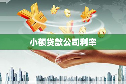 礼县小额贷款公司利率
