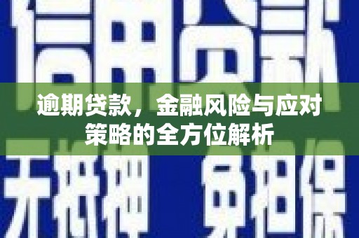 礼县逾期贷款，金融风险与应对策略的全方位解析