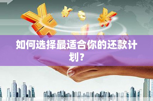 礼县如何选择最适合你的还款计划？