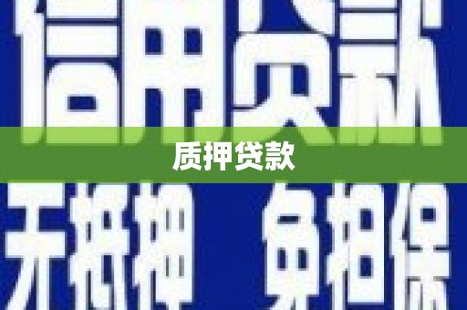 礼县质押贷款
