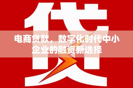 礼县电商贷款，数字化时代中小企业的融资新选择